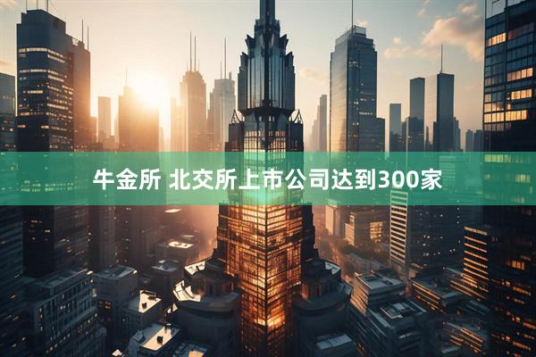 牛金所 北交所上市公司达到300家