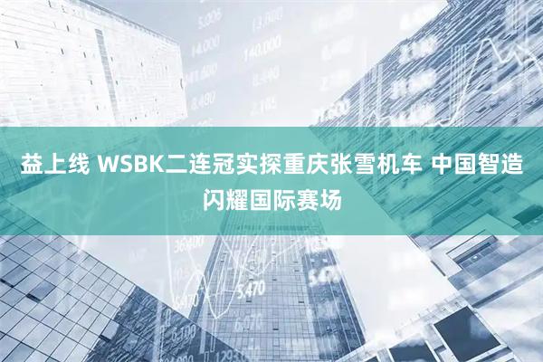益上线 WSBK二连冠实探重庆张雪机车 中国智造闪耀国际赛场